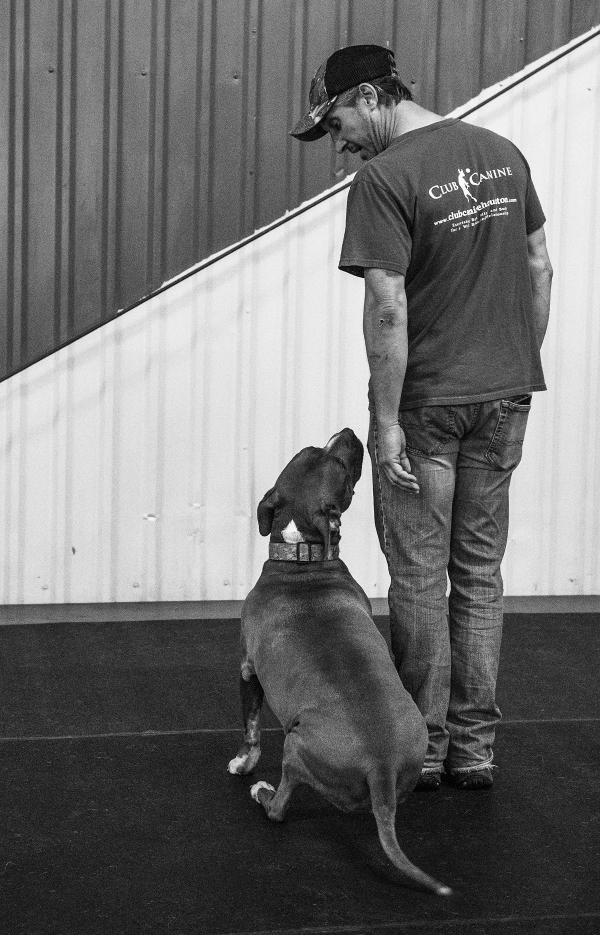 Obedience Class