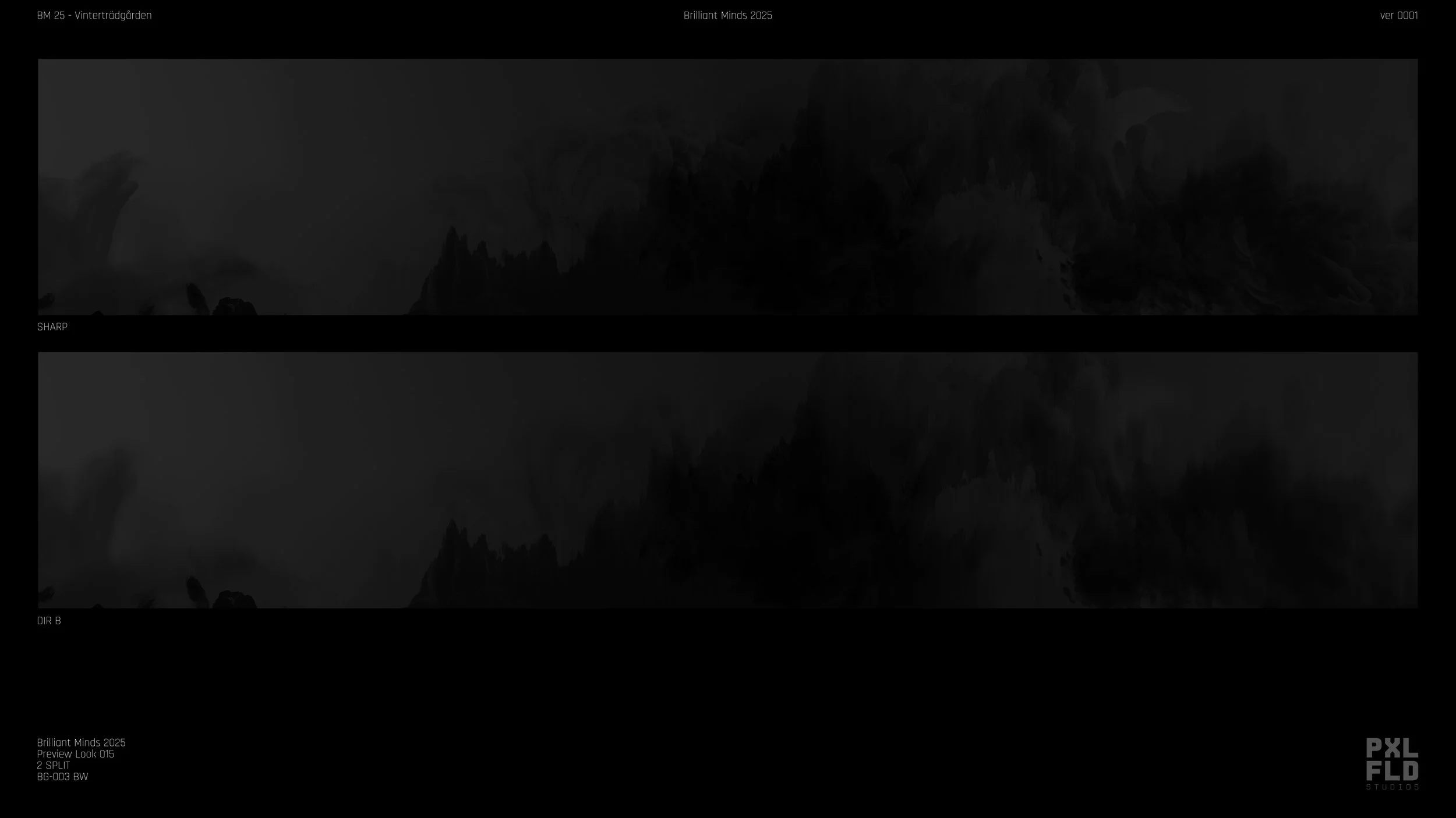BM_25_Preview_Look-015_2SPLIT_BG003 BW.jpg