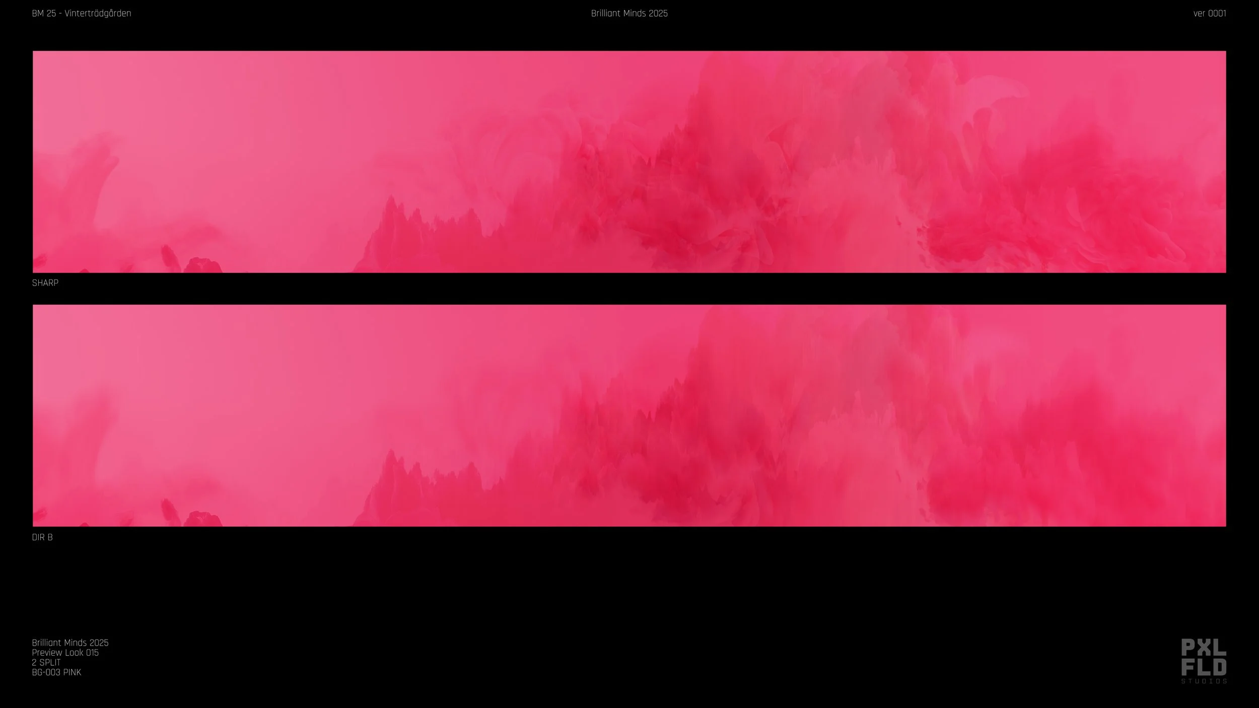 BM_25_Preview_Look-015_2SPLIT_BG003 PINK.jpg