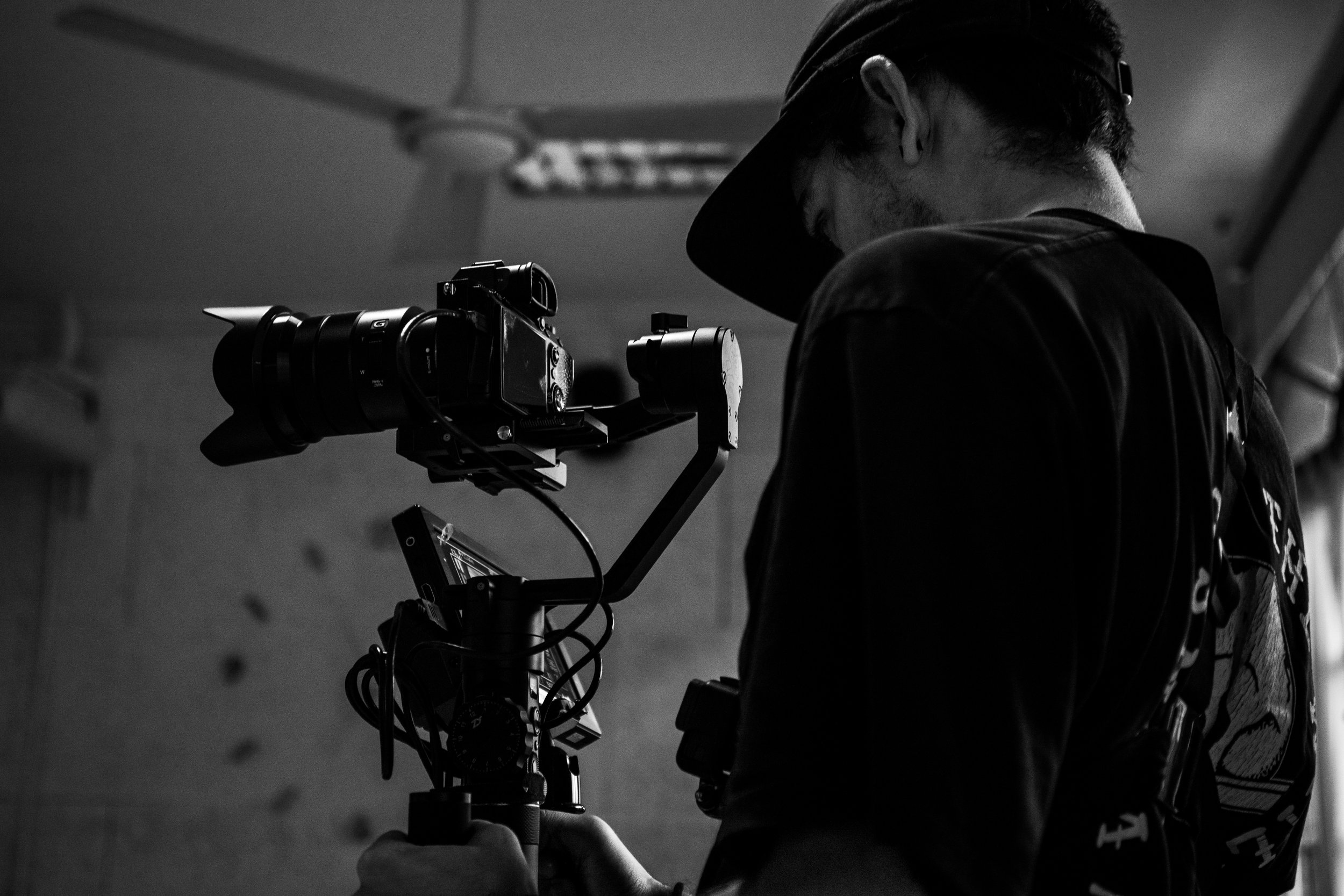 NICOLÁS PEÑA |  Cinematographer