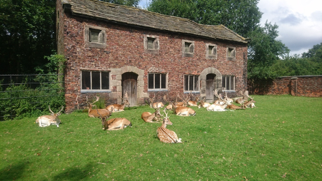 Dunham Massey picture 2.png