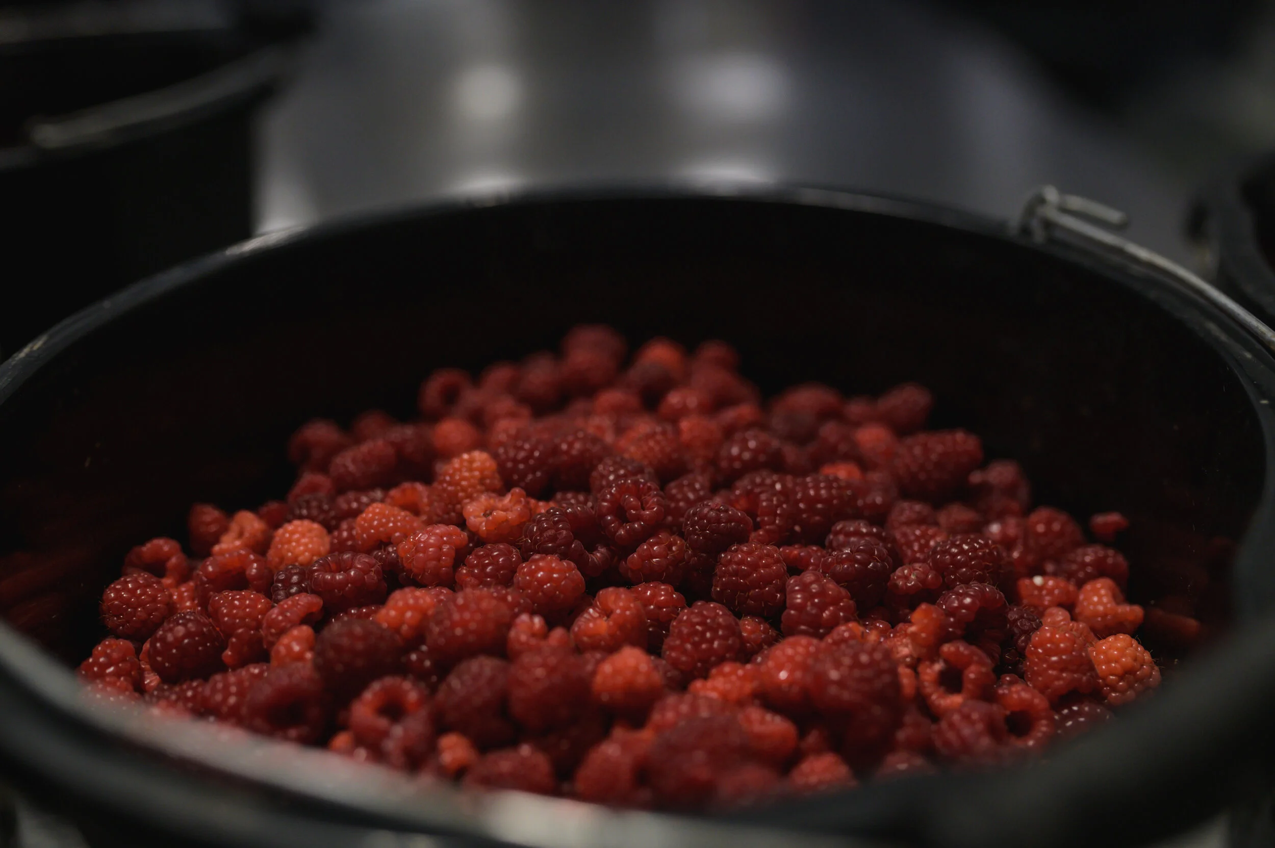 Raspberries-9(1).jpg