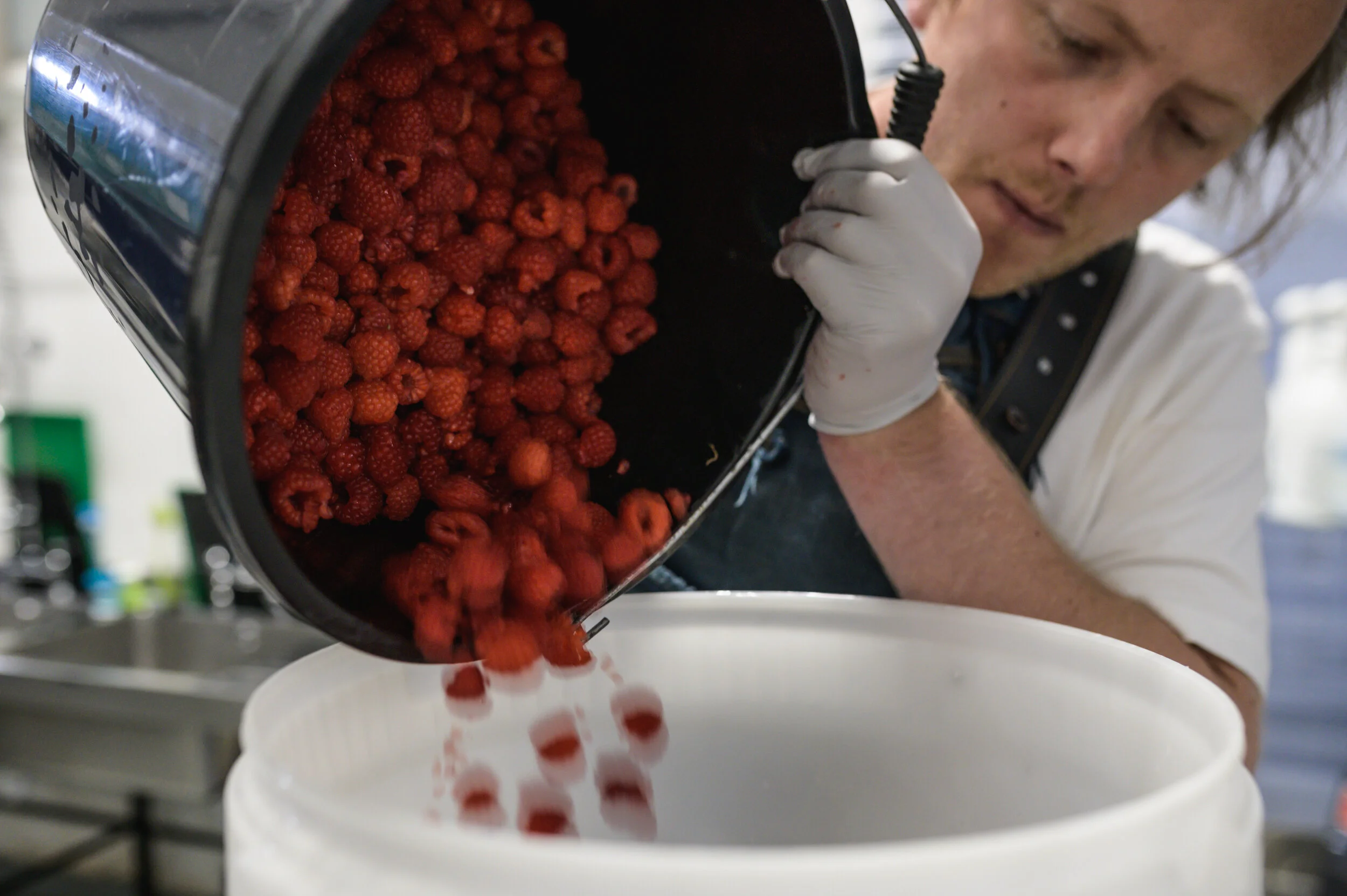 Raspberries-18(1).jpg