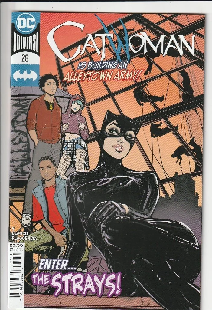 LTC_DC_Catwoman_S5_28.jpg