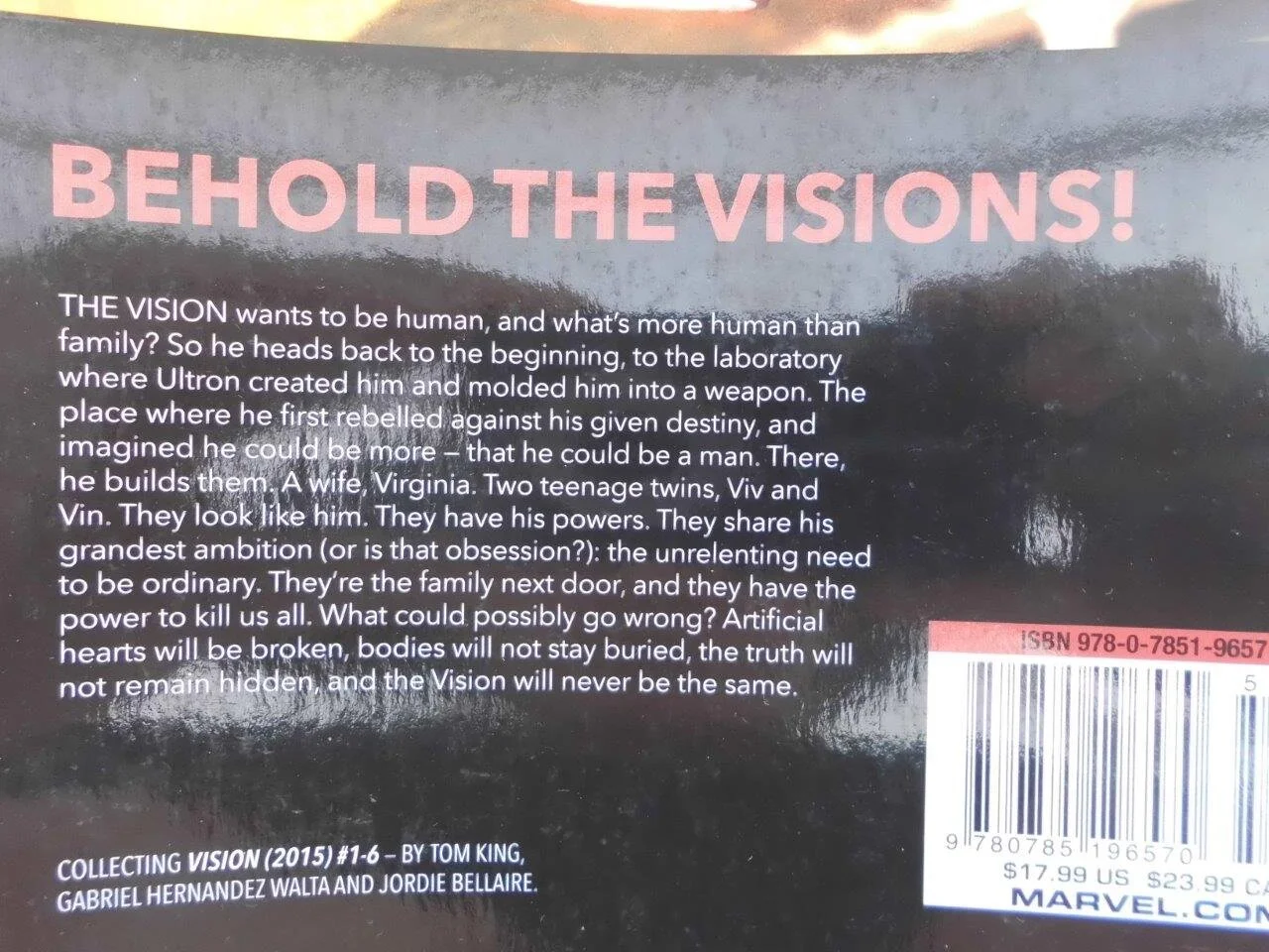 Lucky_Target_Comics_GNs_Vision_back1.JPG