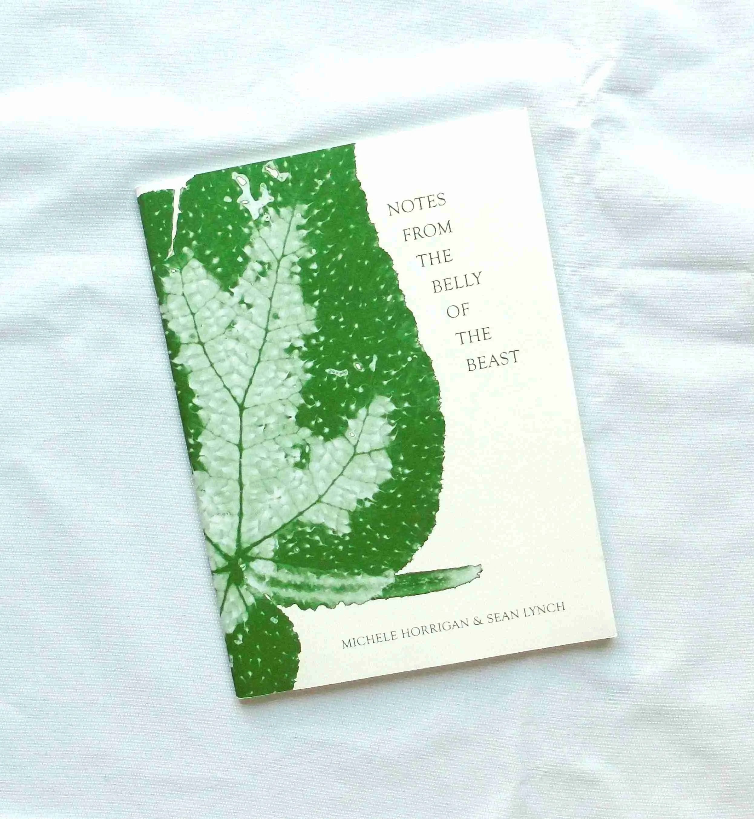 Notes From the Belly of the Beast - Horrigan and Lynch