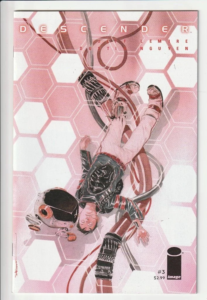 LTC_Descender_3.jpg