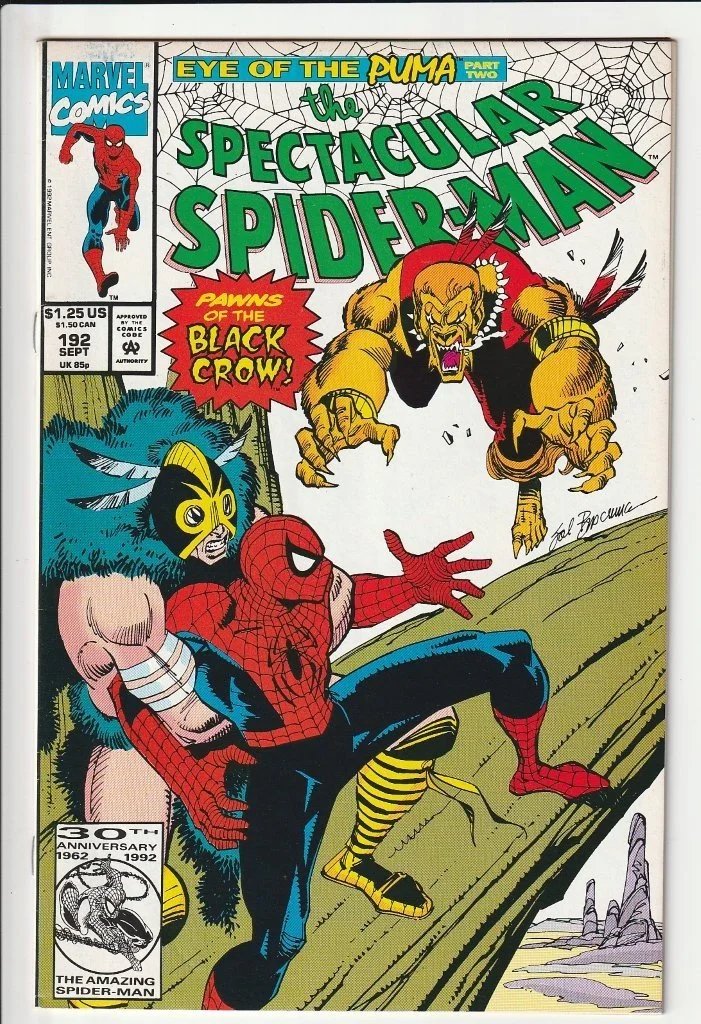 LTC_Spec_Spider-Man_S1_192.jpg