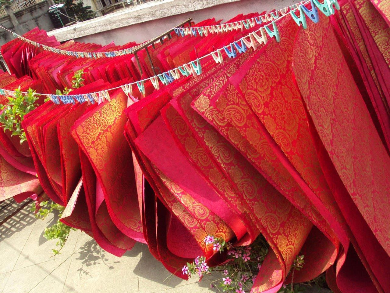 6.drying aan lijn.jpg