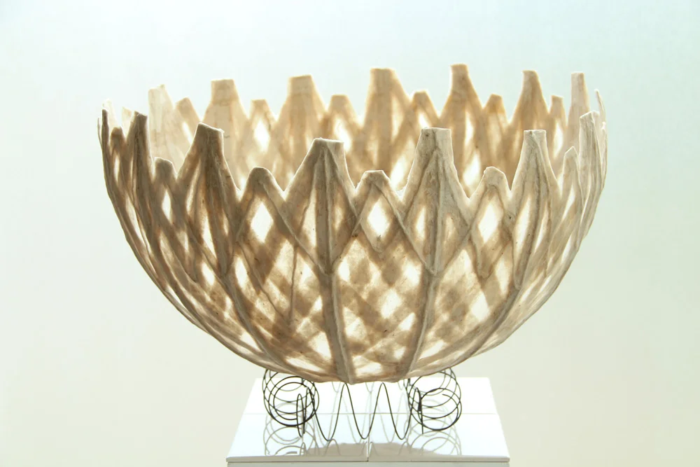 2012 grote transparant 57cm2 - kopie.jpg