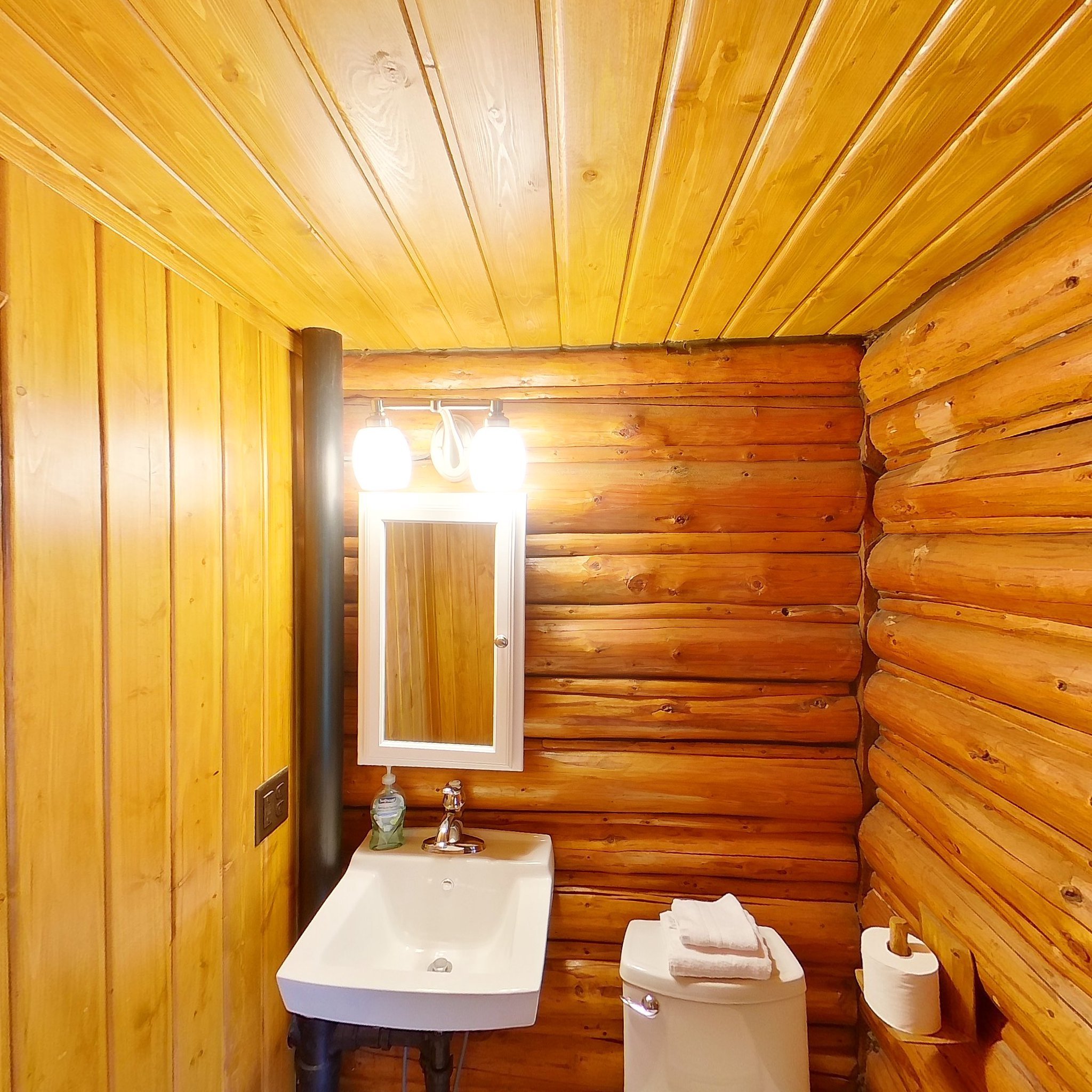 Cabin 8 half bath.jpg