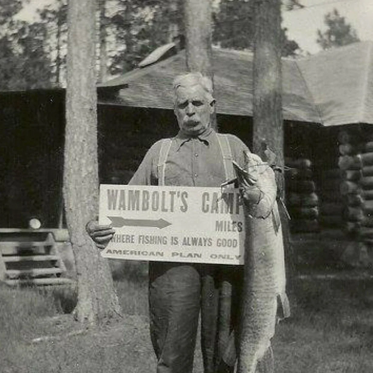 125 Years of Wambolts