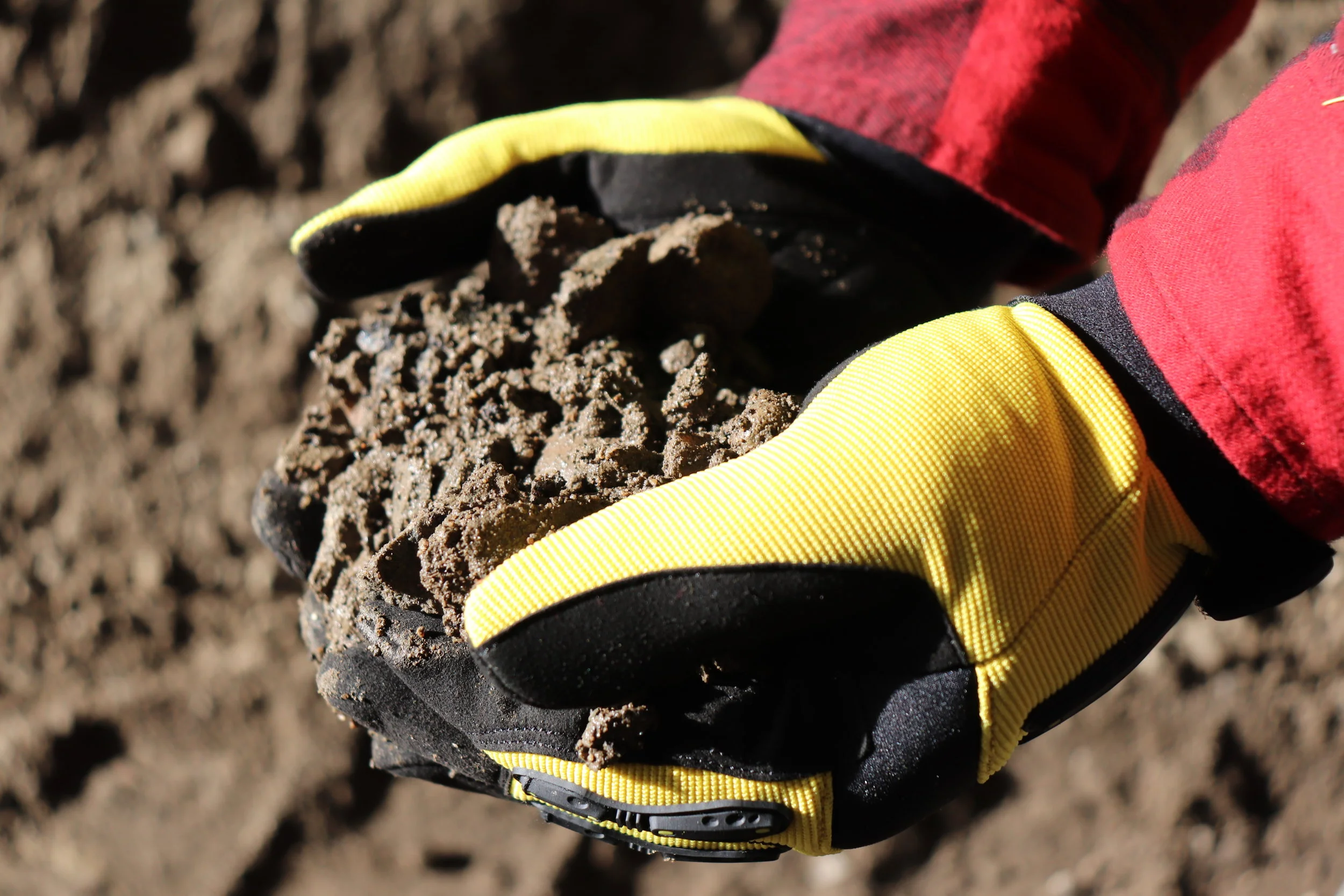 Photo Dec 31, 13 47 16.jpg