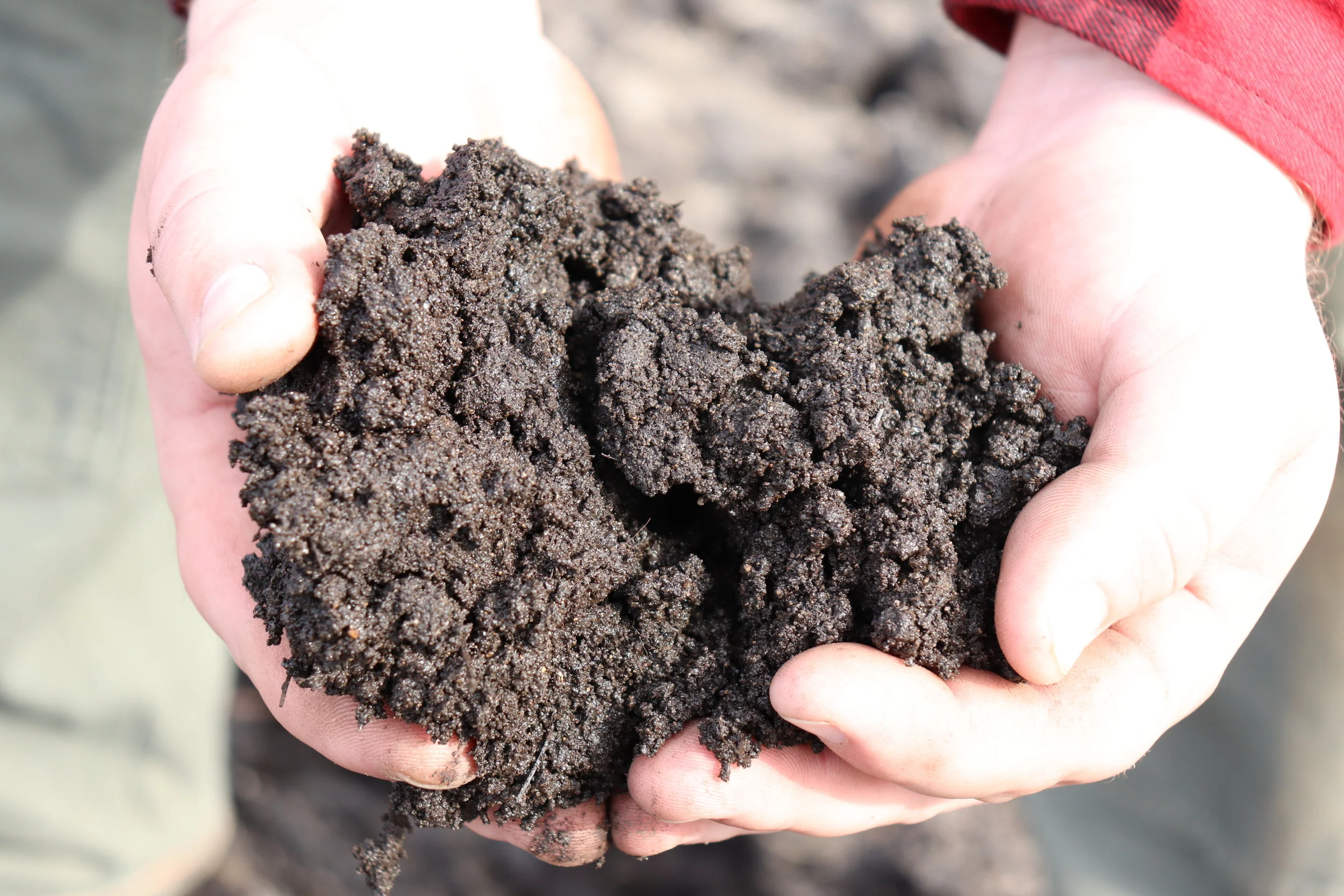 Photo Dec 31, 13 45 22.jpg