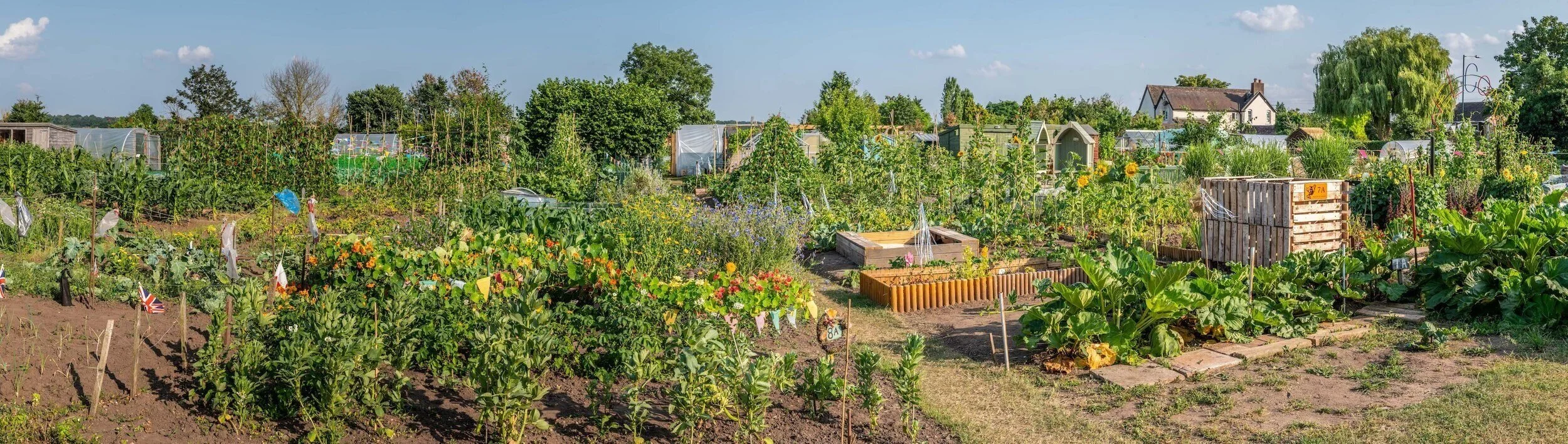 WAPanoramaWellesbourneAllotmentsCreditRobLavers
