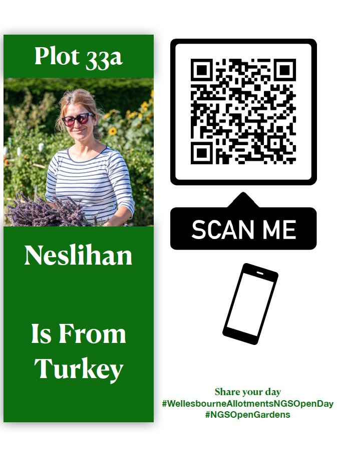 Neslihan is from Turkey Plot 33a