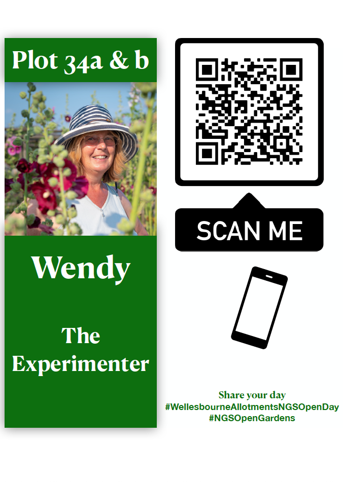 Wendy Necar Plot 34 - The Experimenter