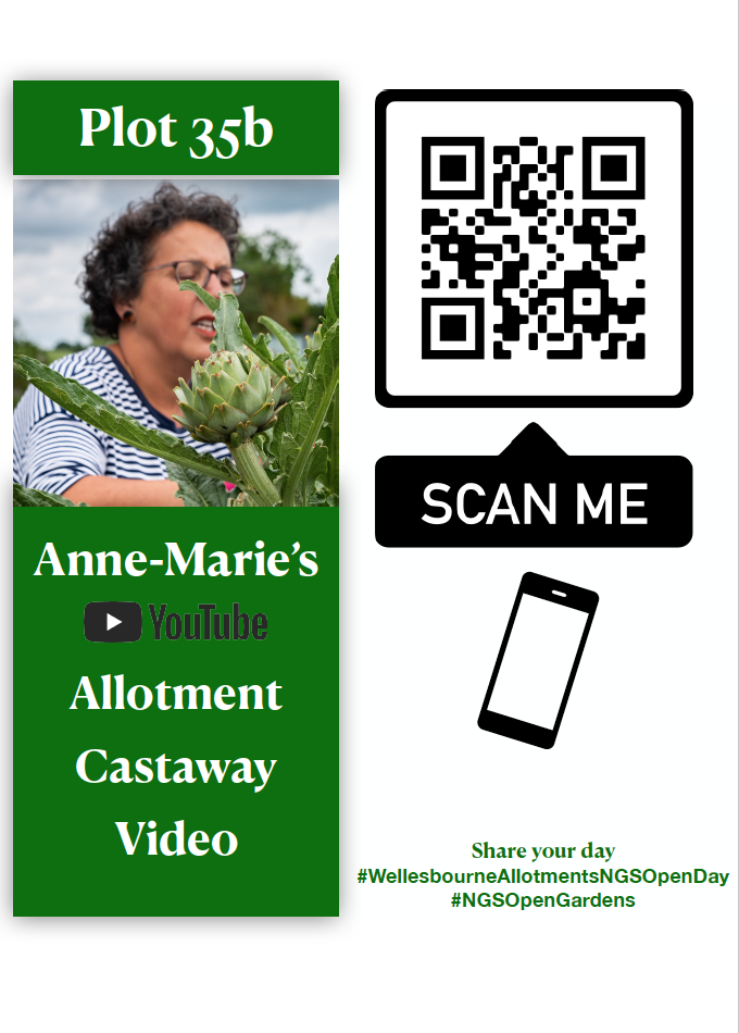 Anne-Marie Plot 35b - Allotment Castaway Video