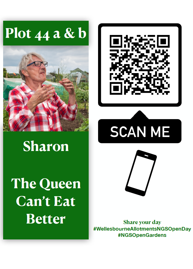 Sharon Video Plot 47 - The Queen Can’t Eat Better