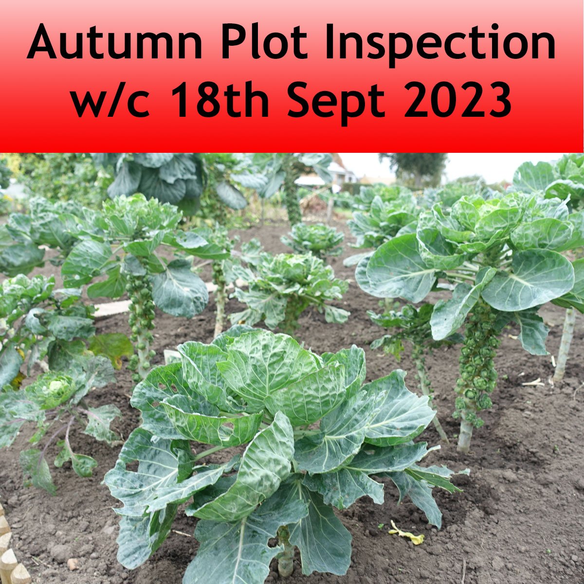 2023 09 18 Plot Inspection-1.jpg