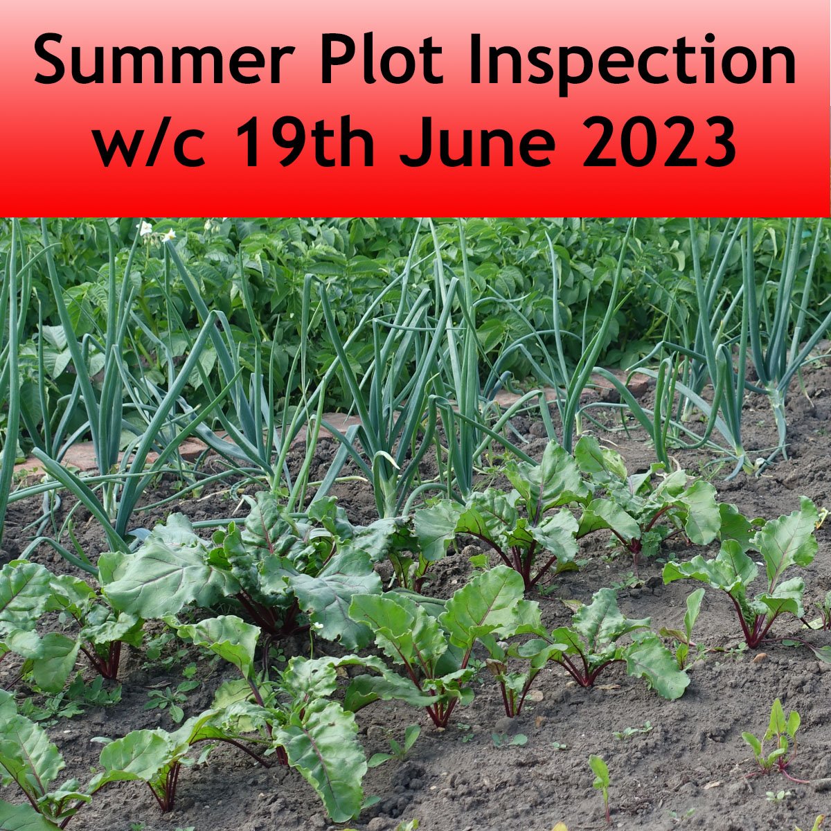 2023 06 19  Plot Inspection.jpg