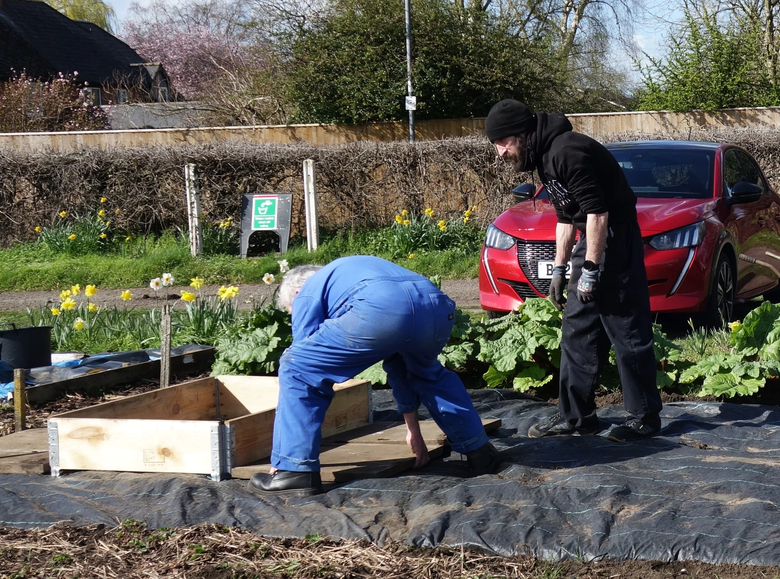 Help Out Spring (7) - Copy.JPG