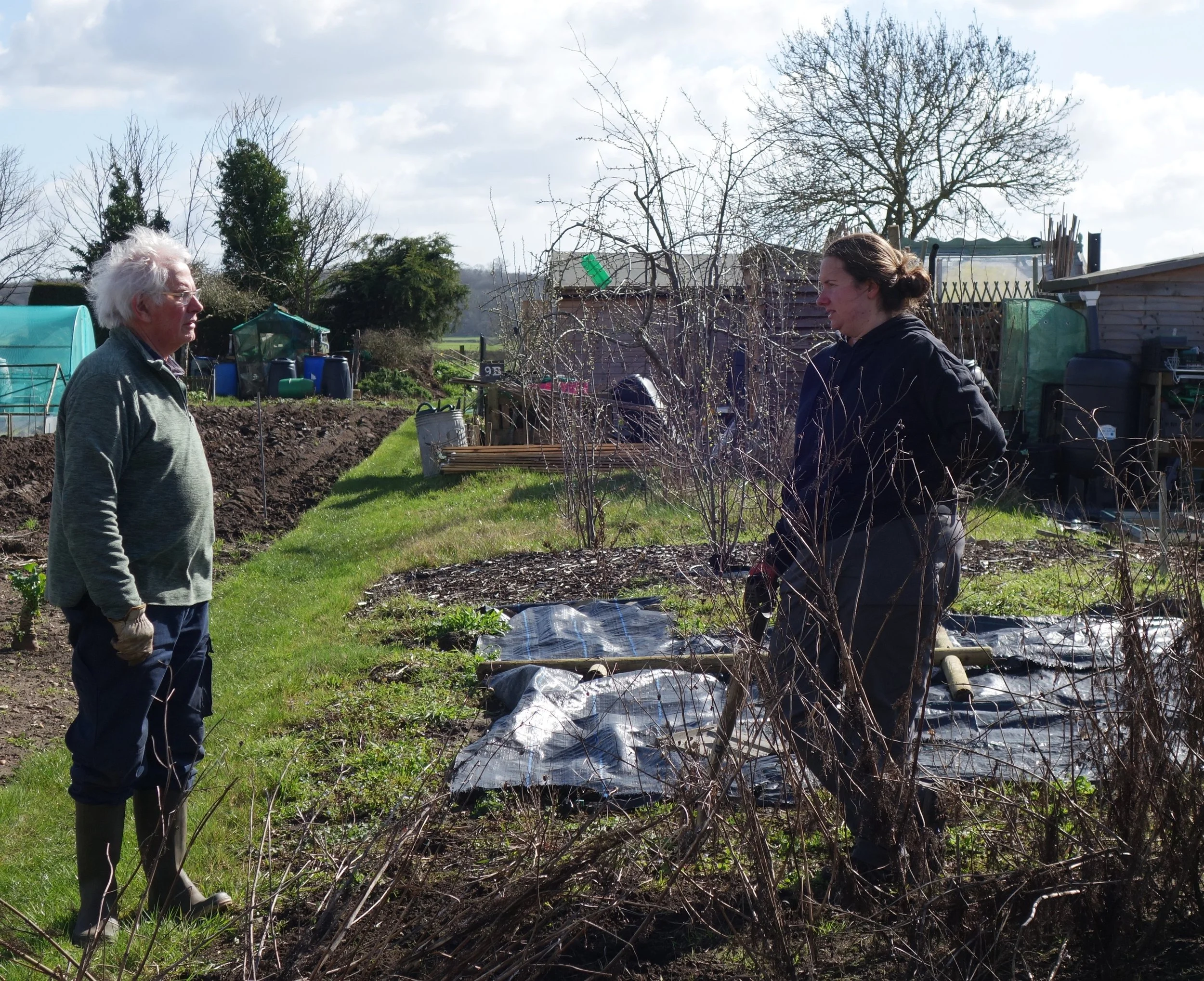 Help Out Spring (3) - Copy.JPG