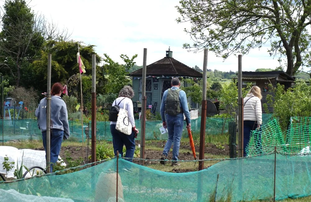 Allotment open day (15).jpg