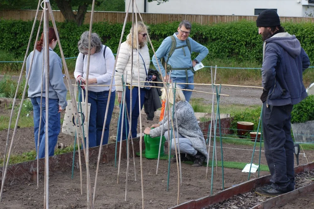 Allotment open day (16).jpg