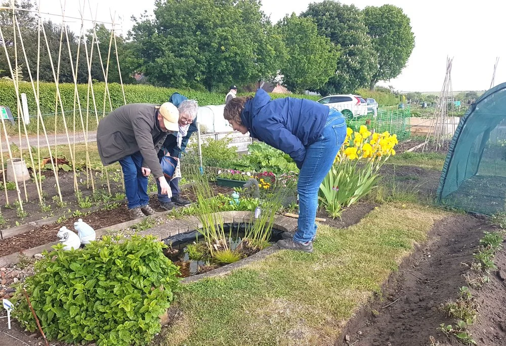 Allotment open day (21).jpg