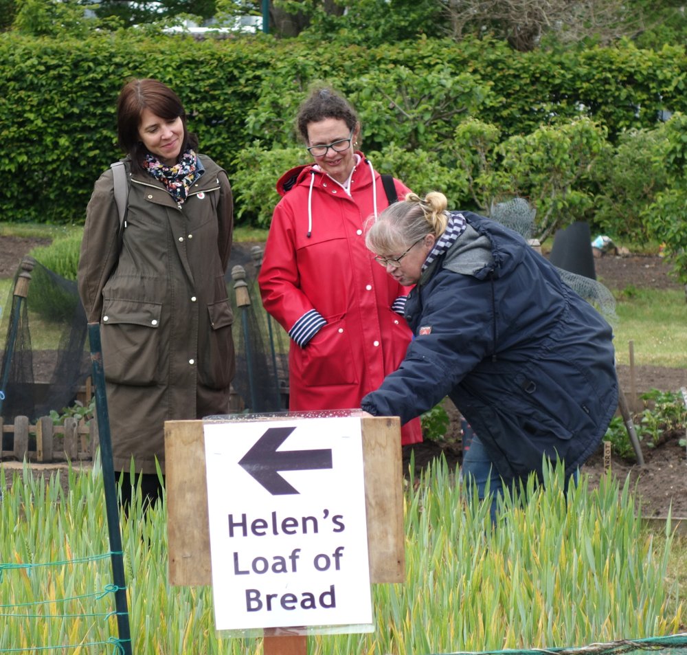 Helens loaf of bread (2) - Copy.jpg