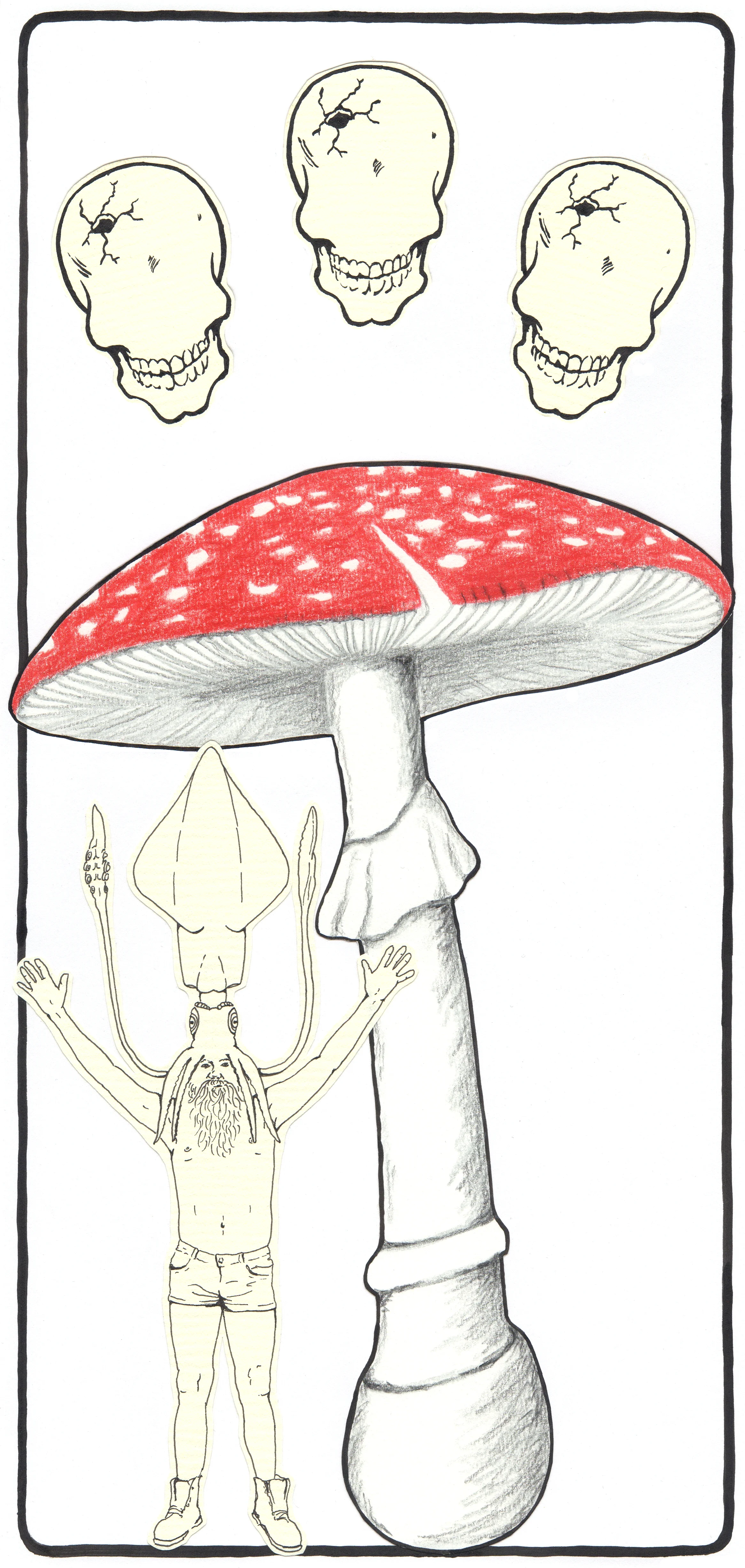 Amanita Muscaria