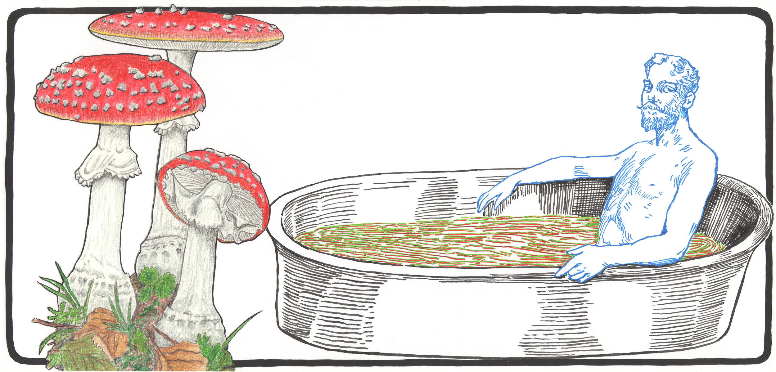 Fly Agaric