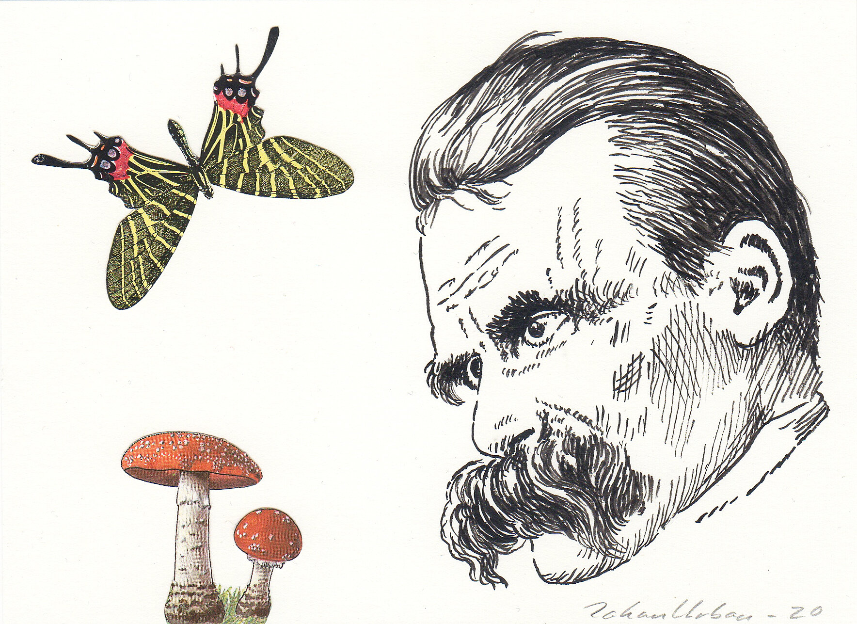 The Philosopher and the Amanita