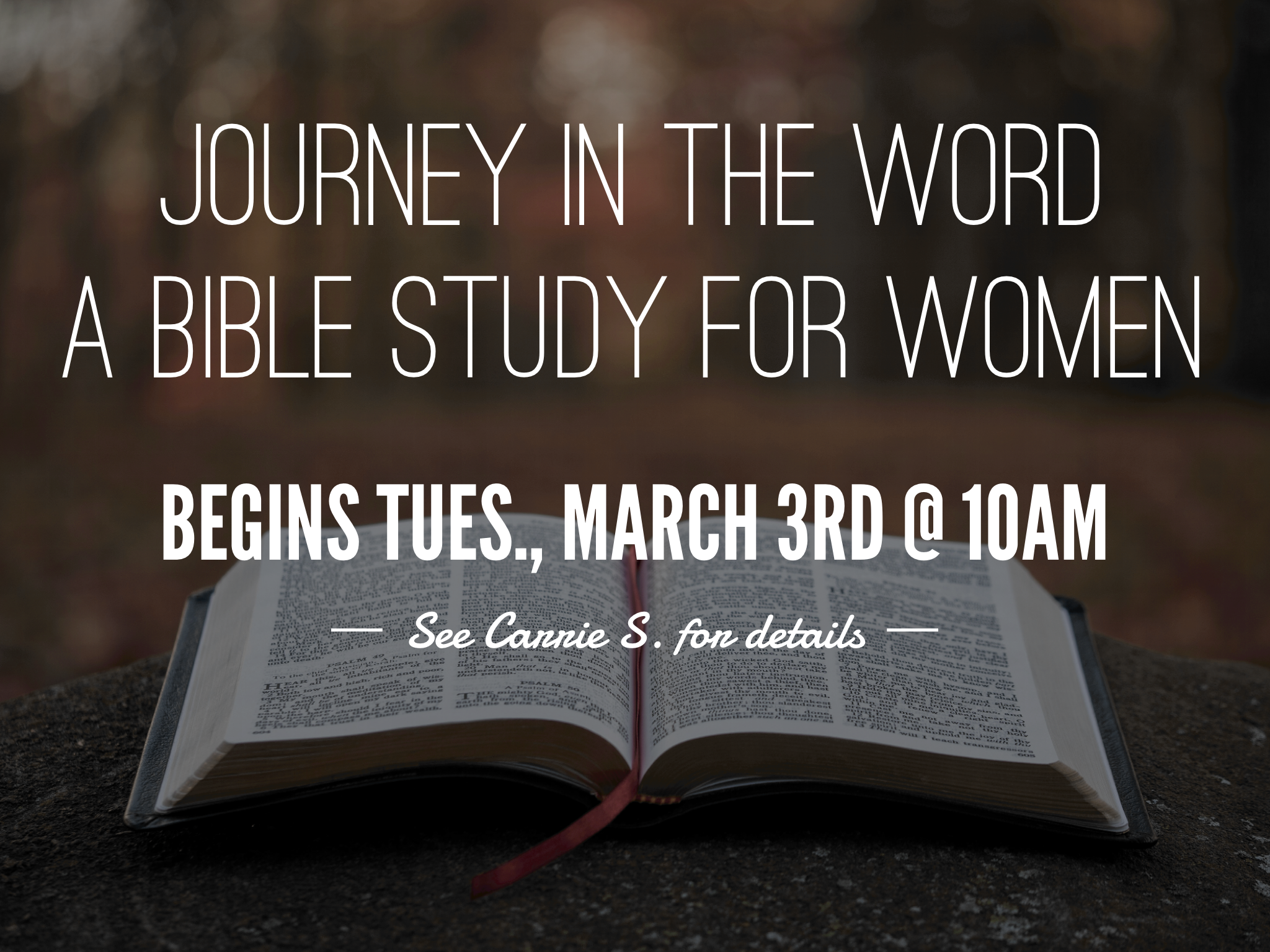 Journey Through The Word