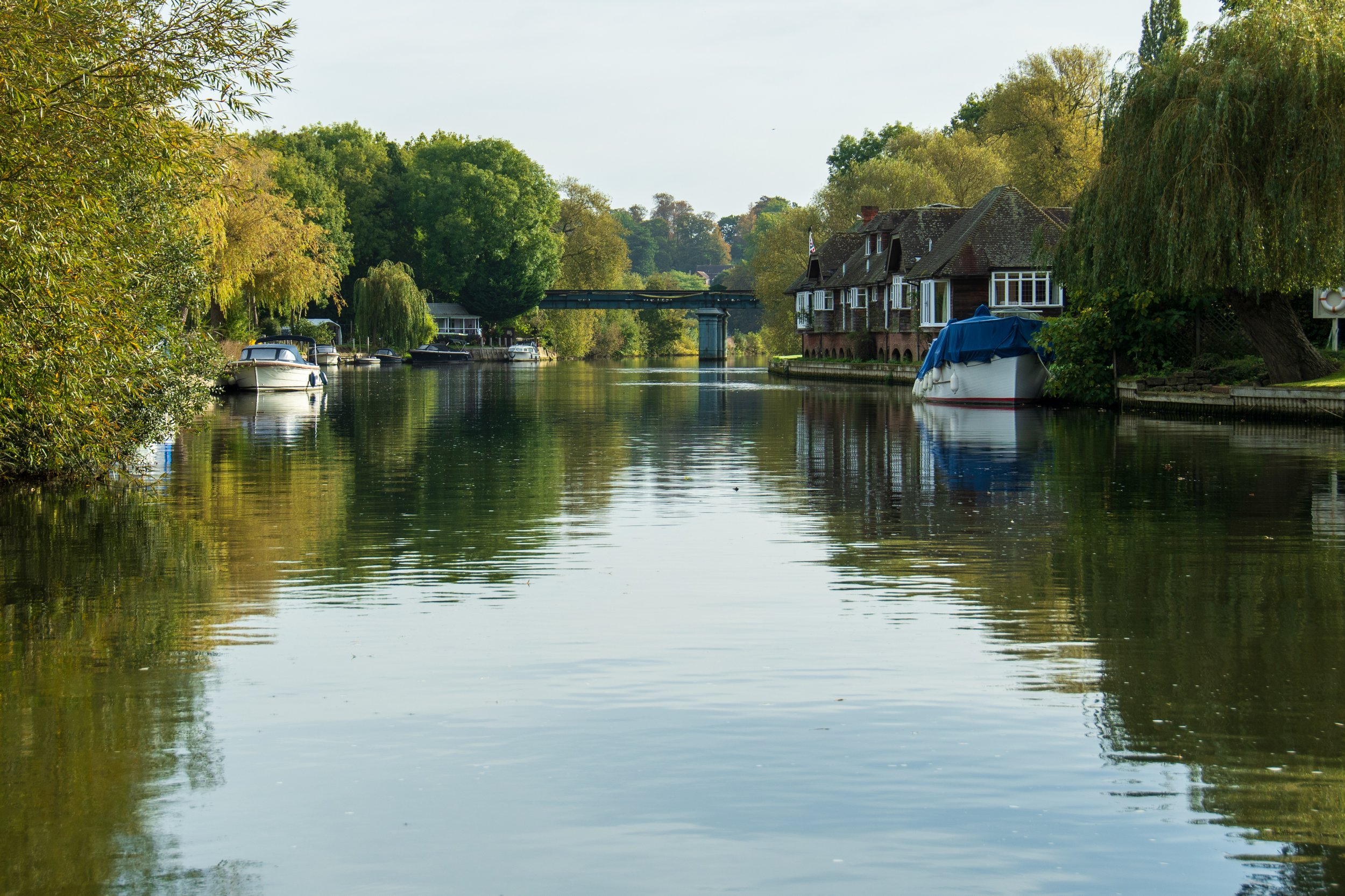 River Thames, Shiplake to Henley-on-Thames-9843.jpg