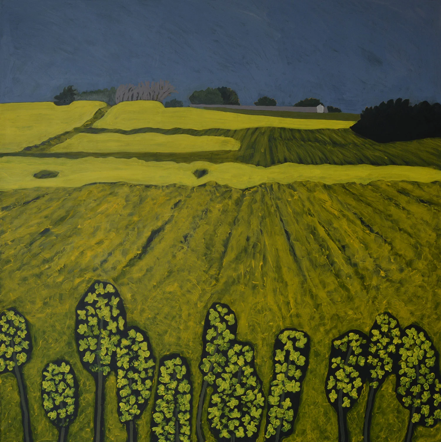  Rapsmark, akryl på lærred, 130x130 cm 