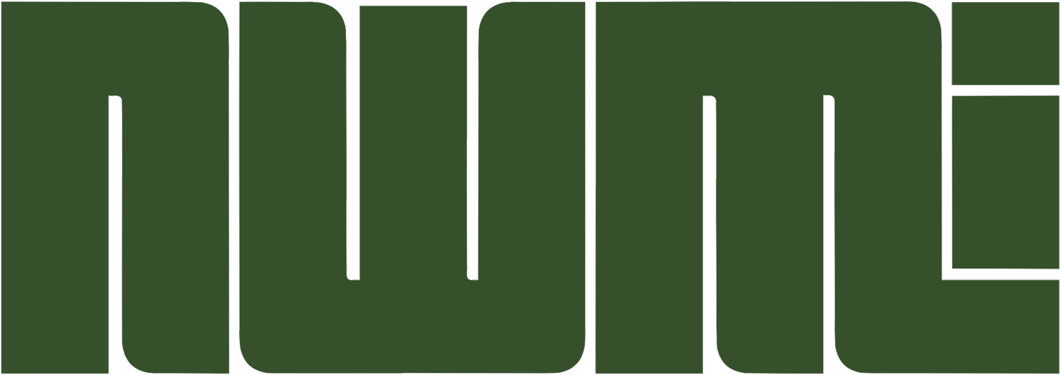 NWMI