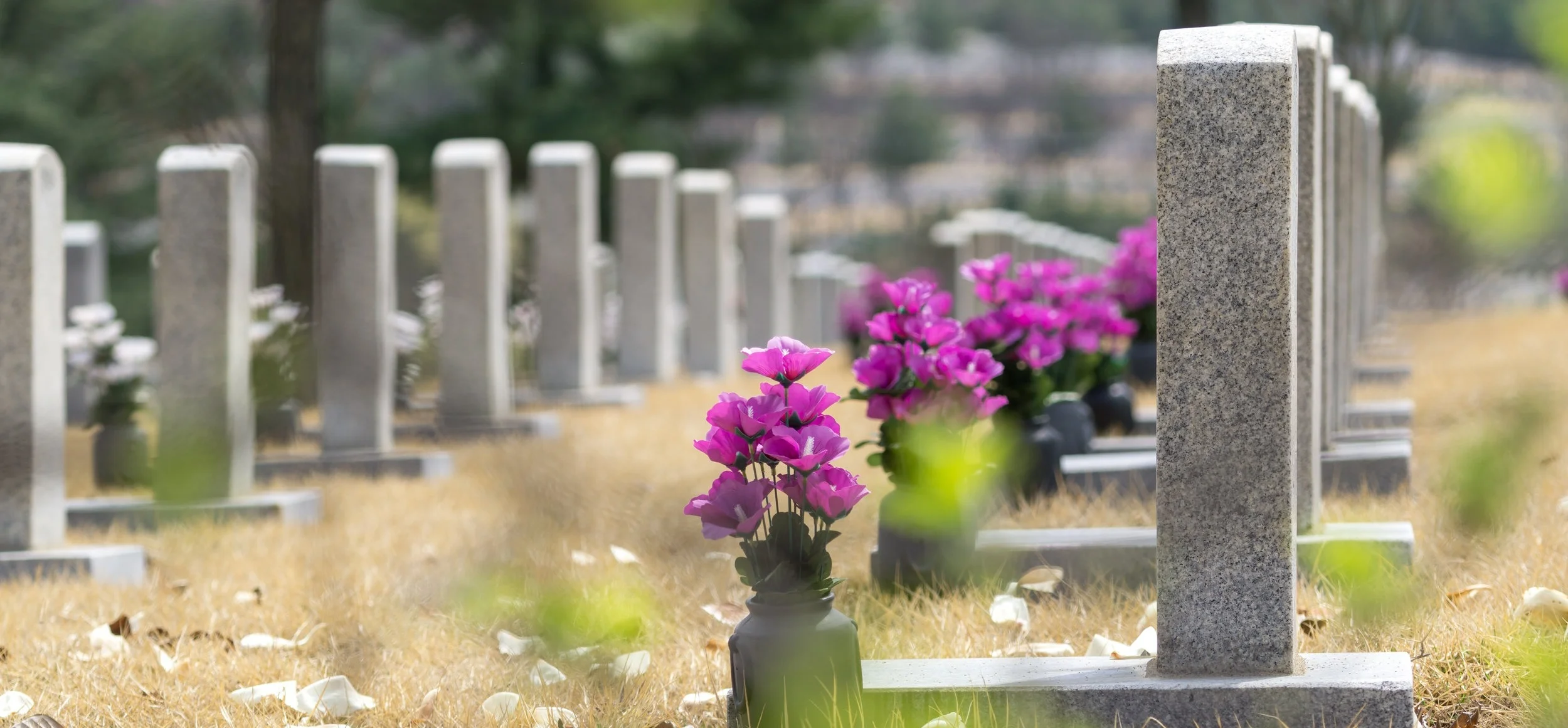 cemetery%2Bstock%2Bphoto.jpg
