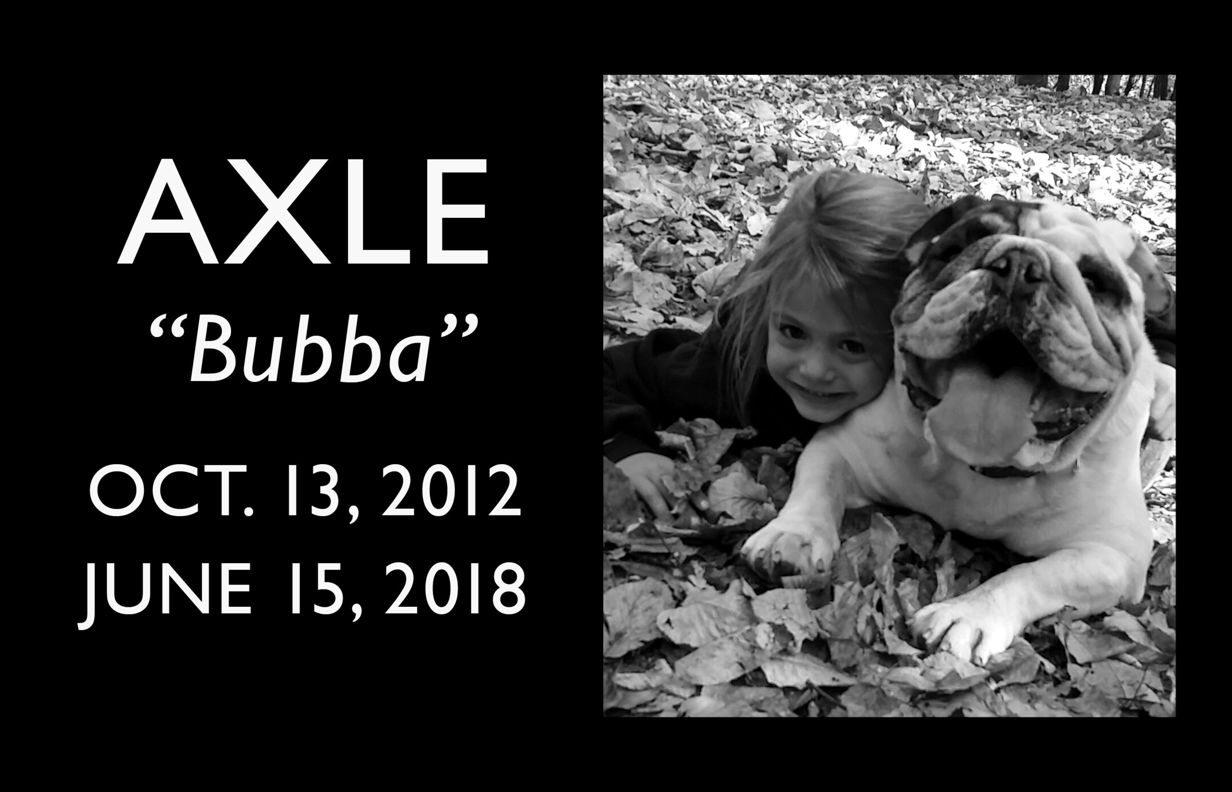Axle Bubba_layout.jpg