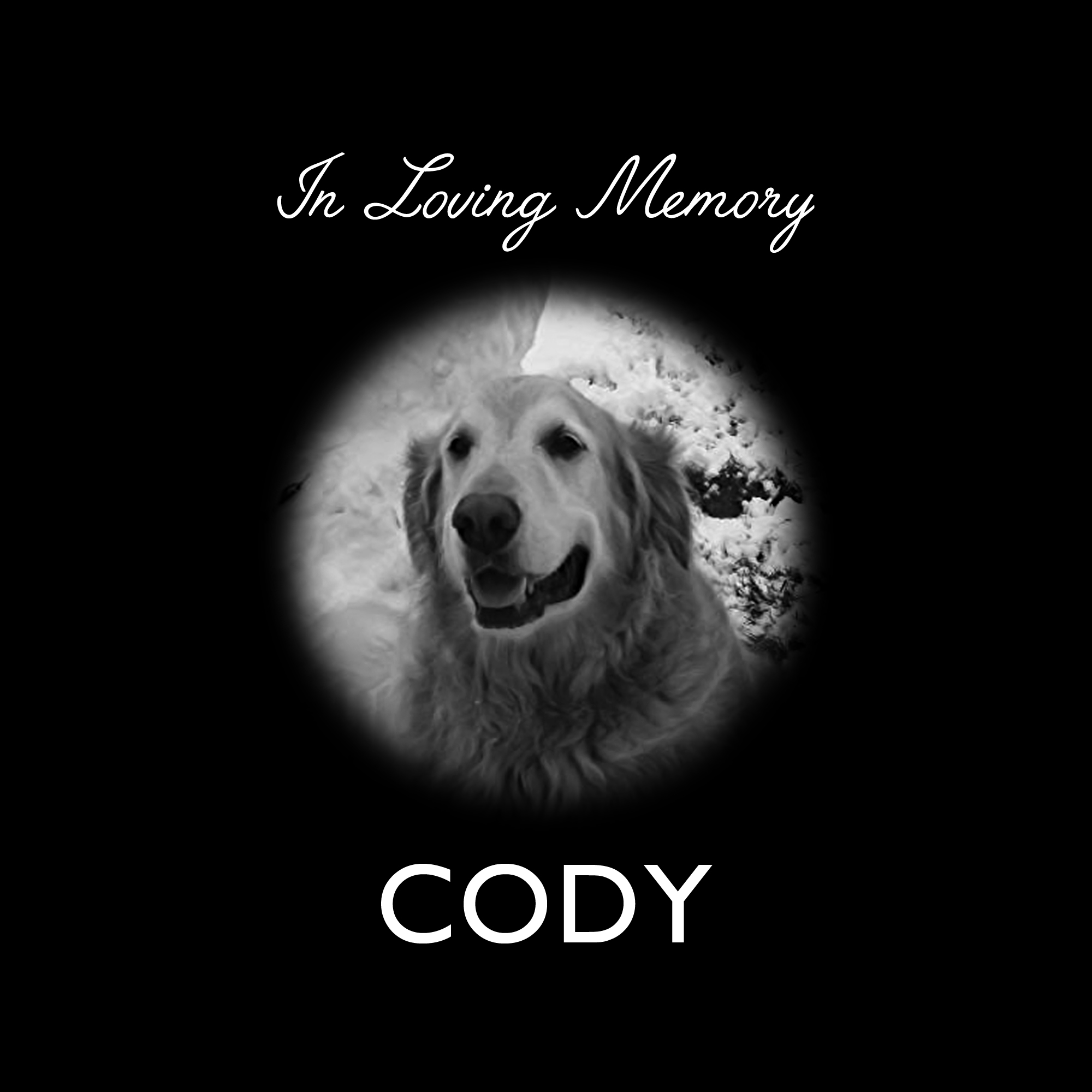 Cody_layout.jpg