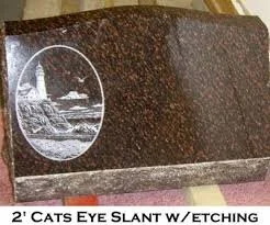 Cat10.jpg
