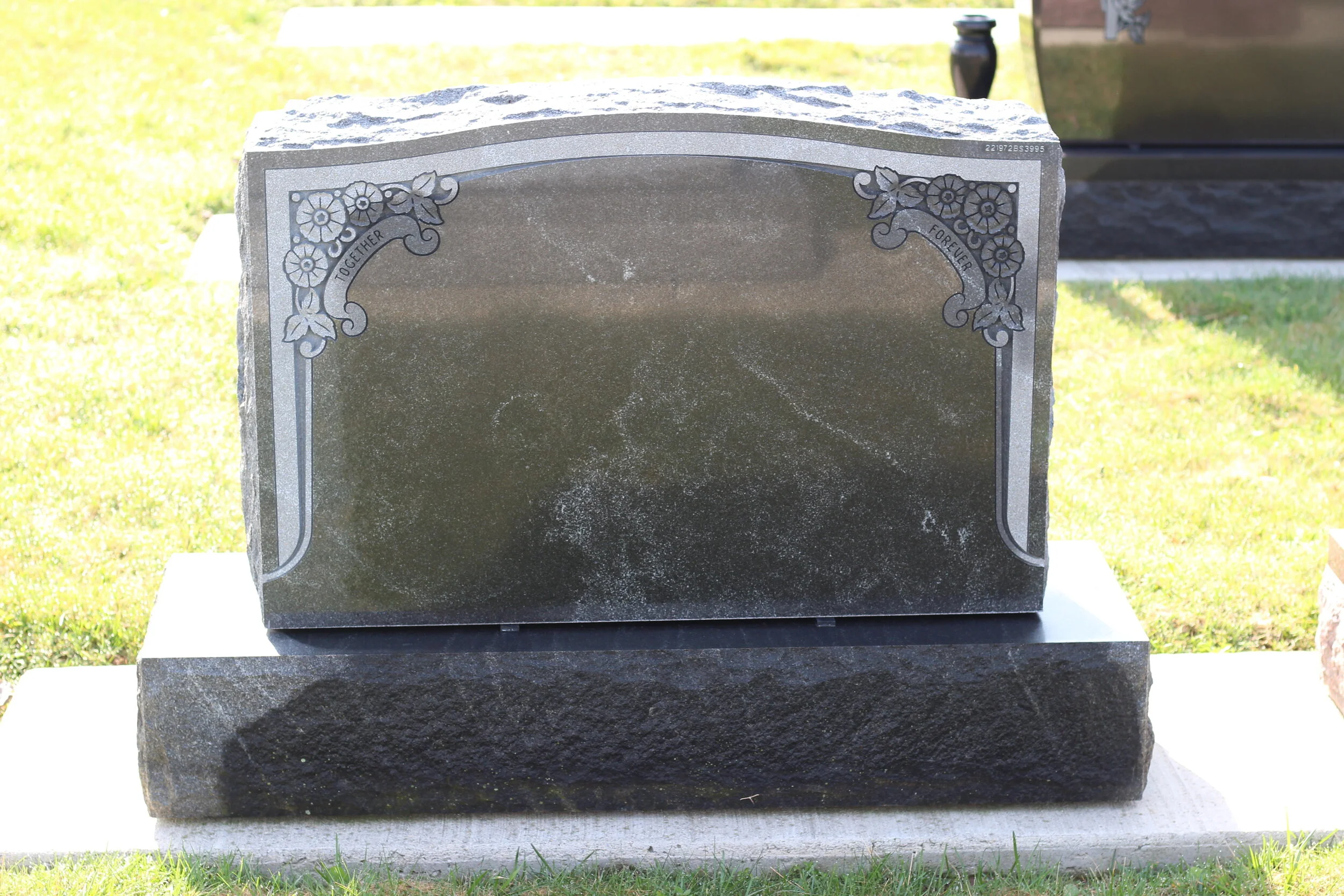 8-00015.JPG