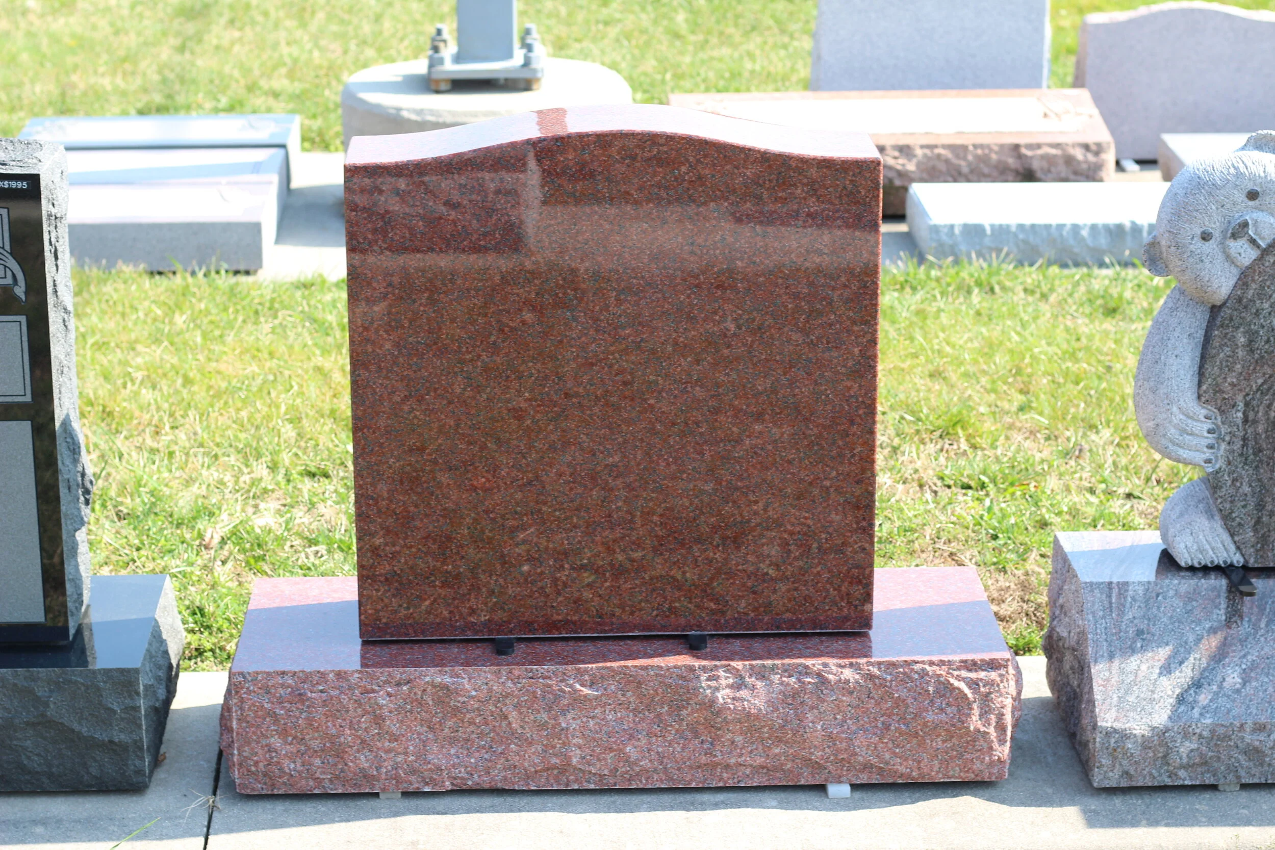 8-00115.JPG