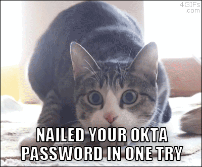image2.gif