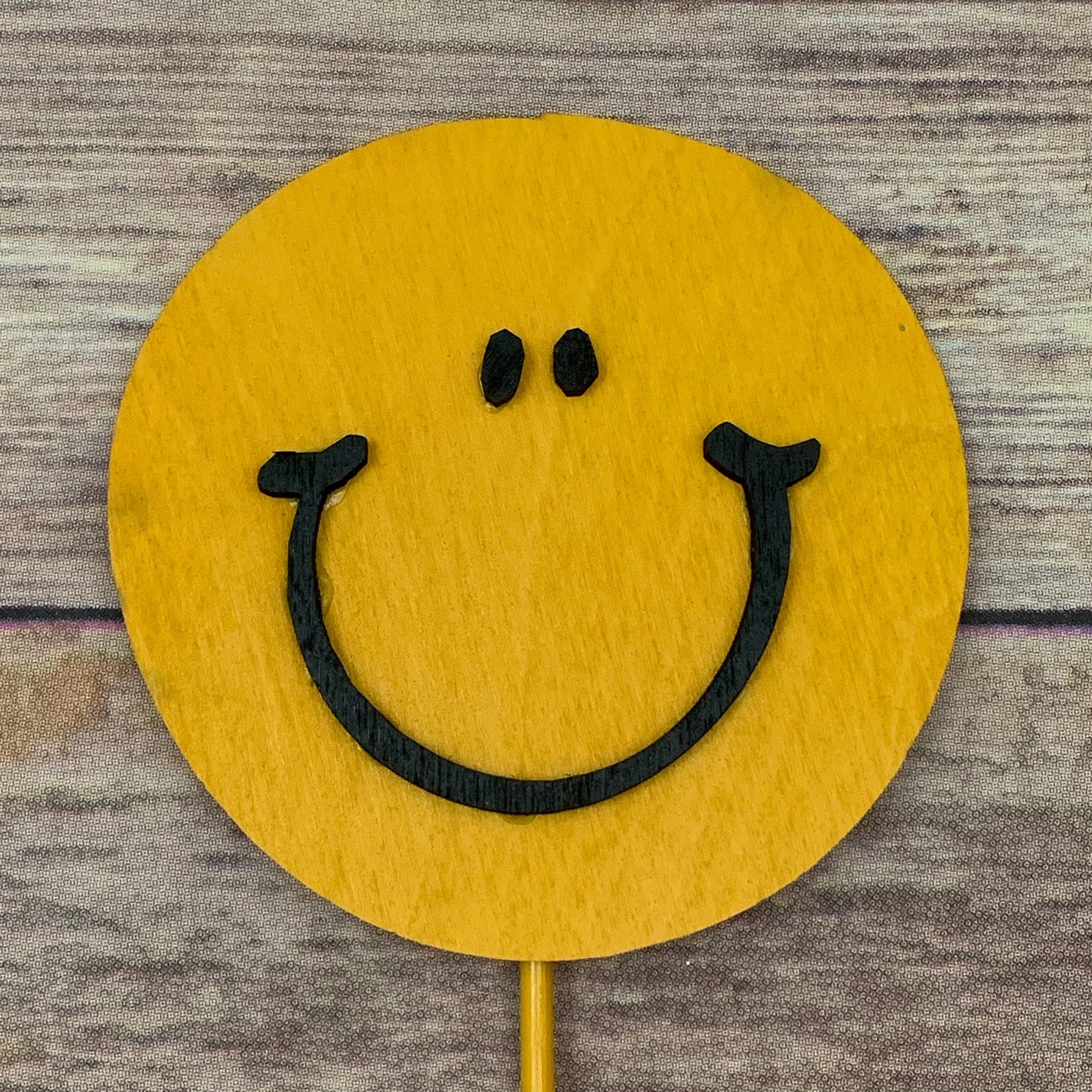 Classic Smile