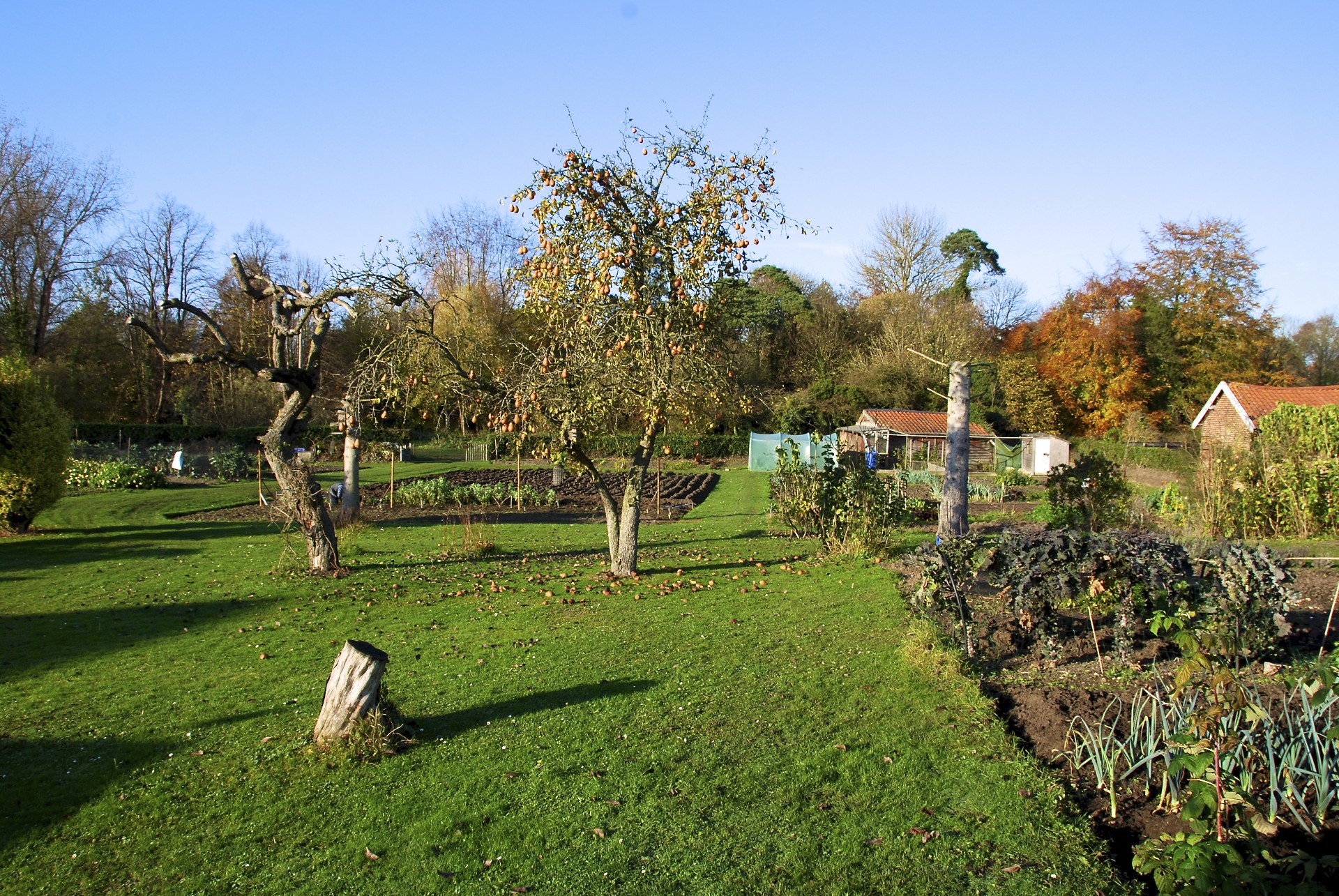 DSC_0147.jpg