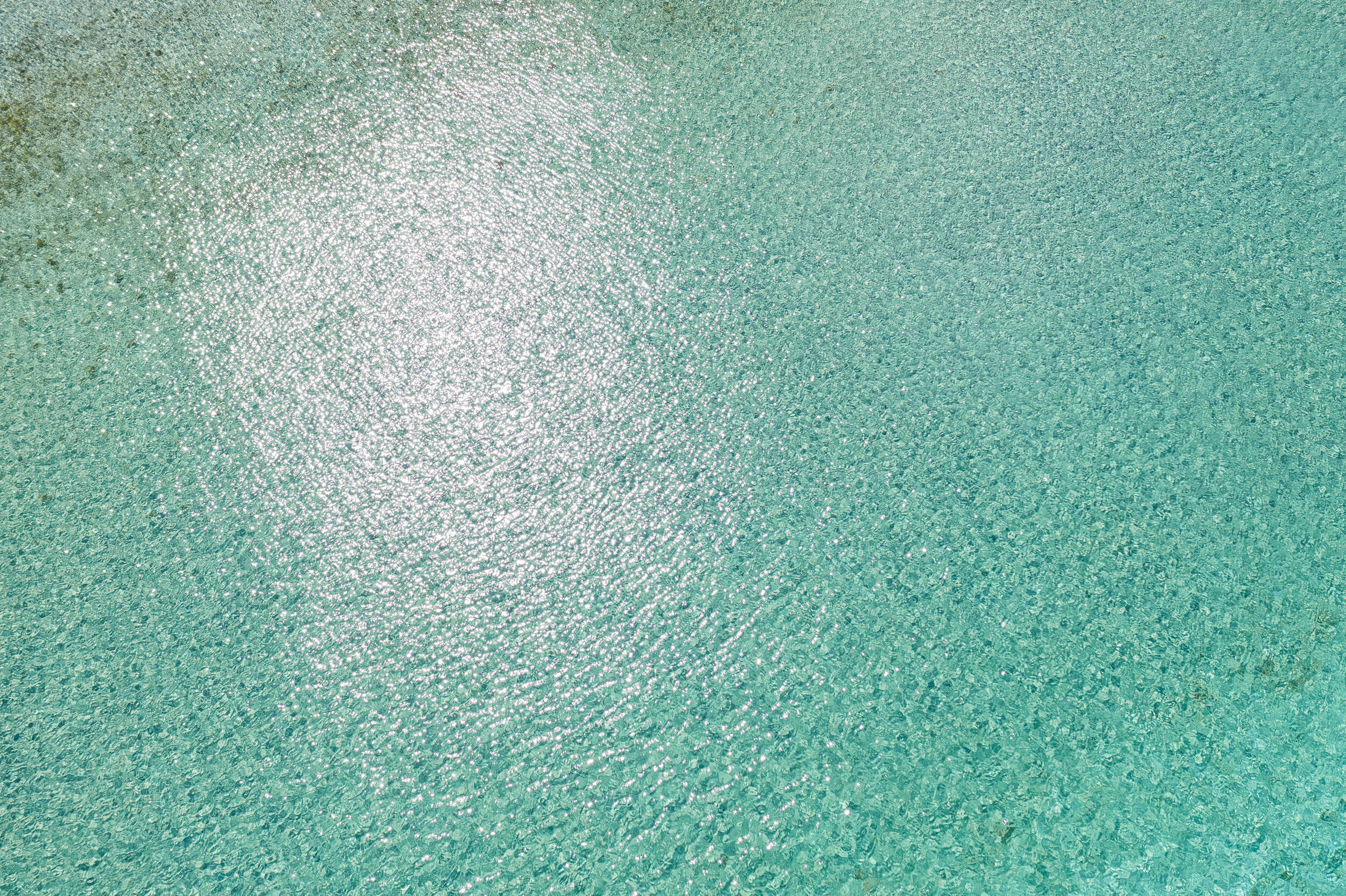 A Pelican's Eye View