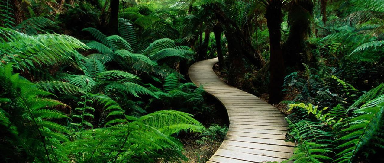 Pathway Image.png