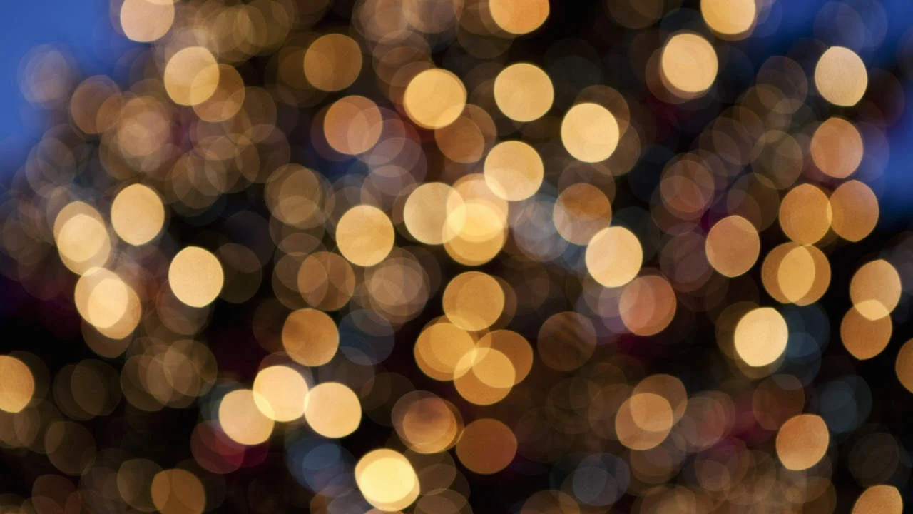 Holiday Lights.jpg